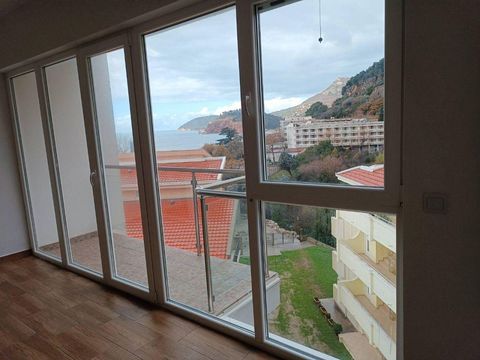 Inmobiliaria comercial en Montenegro