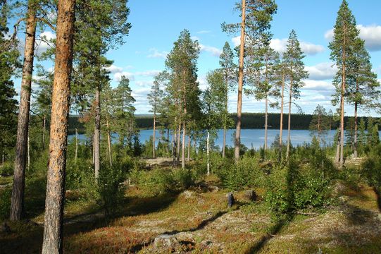 Land en Vuontisjärvi