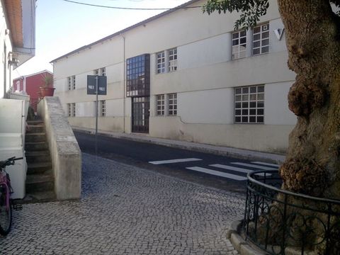 Inmobiliaria industrial en Alcobaça