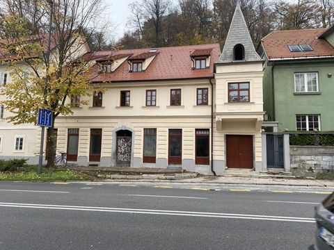 Inmobiliaria comercial en Trnovo
