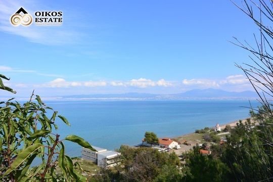 Land en Agia Triada (Thessaloniki)