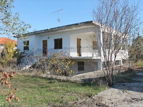 Cottage en Katerini