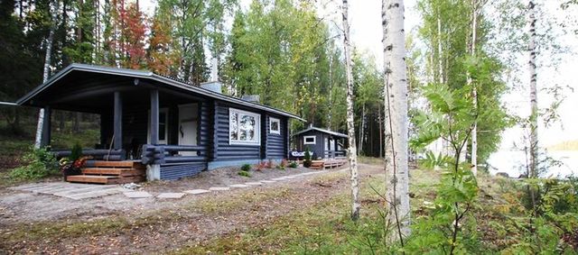 Cottage en Kangasniemi
