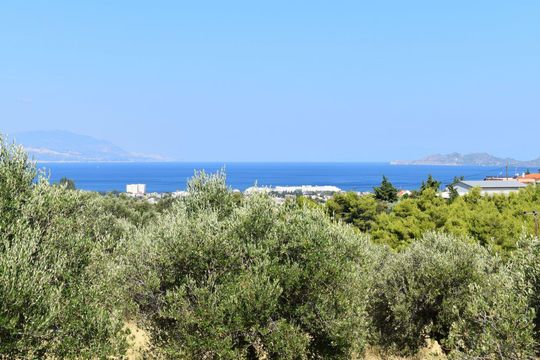 Land en Peloponés, Grecia Occidental y el Ioniano
