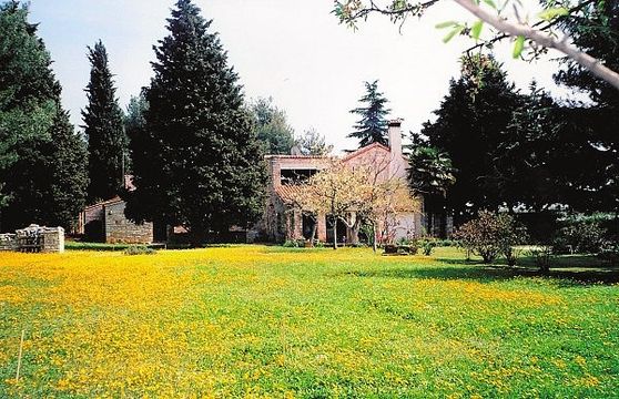 Villa en Novigrad